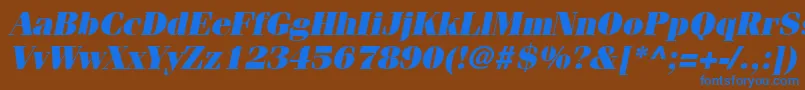 ItcFeniceLtUltraOblique Font – Blue Fonts on Brown Background