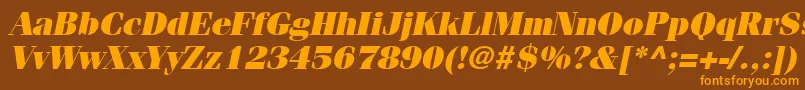 フォントItcFeniceLtUltraOblique – オレンジ色の文字が茶色の背景にあります。