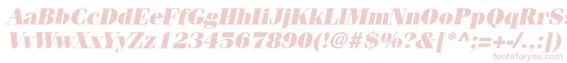 More about ItcFeniceLtUltraOblique Font ItcFeniceLtUltraOblique Font – Pink Fonts on White Background