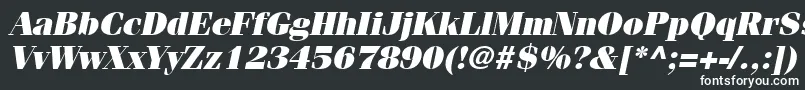 フォントItcFeniceLtUltraOblique – 黒い背景に白い文字