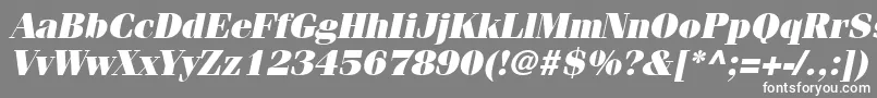 Шрифт ItcFeniceLtUltraOblique – белые шрифты на сером фоне
