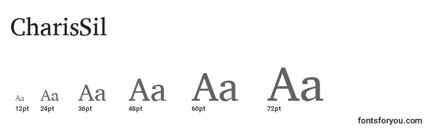 CharisSil Font Sizes