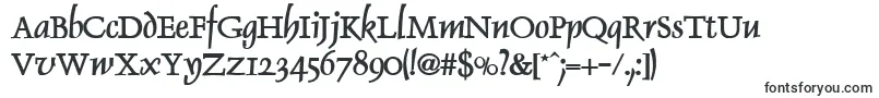DolphinBold Font – Serif Fonts