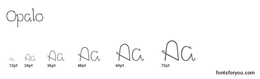 Размеры шрифта Opalo (43048)