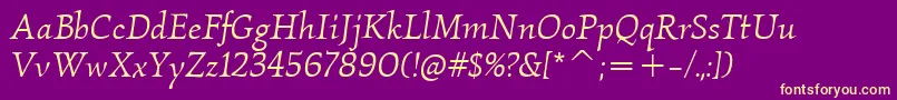 KallosItcBookItalic Font – Yellow Fonts on Purple Background