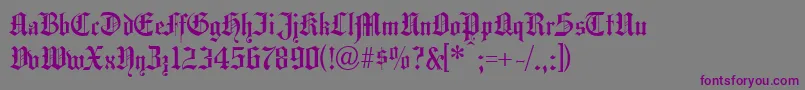 Hansagotisch Font – Purple Fonts on Gray Background
