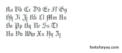 Review of the Hansagotisch Font