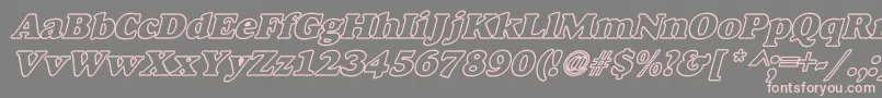 AlexussHeavyHollowWBiBoldItalic Font – Pink Fonts on Gray Background