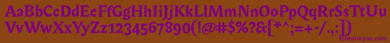 BiblonitcswashBold Font – Purple Fonts on Brown Background