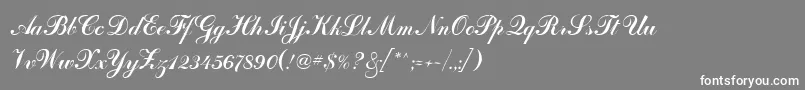 Artscript Font – White Fonts on Gray Background