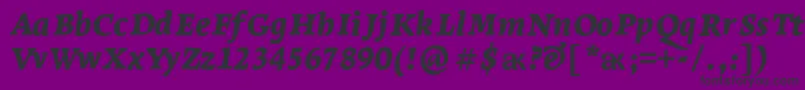 LeksaproBlackItalic Font – Black Fonts on Purple Background