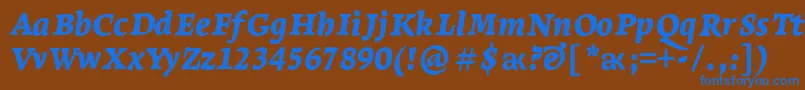 LeksaproBlackItalicフォントについての詳細 フォントLeksaproBlackItalic – 茶色の背景に青い文字