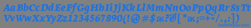 LeksaproBlackItalic Font – Blue Fonts on Gray Background