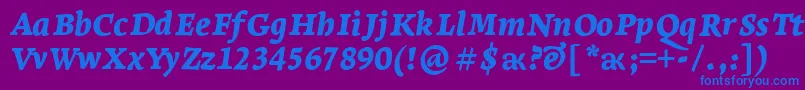 LeksaproBlackItalic Font – Blue Fonts on Purple Background