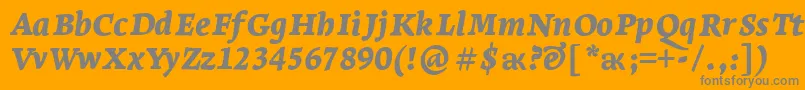 LeksaproBlackItalic Font – Gray Fonts on Orange Background