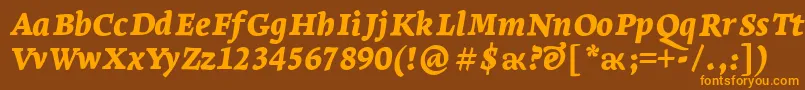 LeksaproBlackItalic Font – Orange Fonts on Brown Background