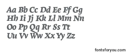 LeksaproBlackItalic Font