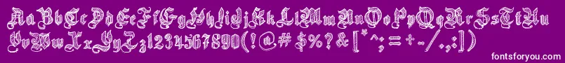 SketchGothicSchool Font – White Fonts on Purple Background