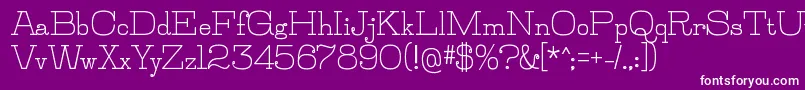 JillsvilleBold Font – White Fonts on Purple Background