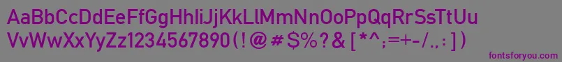 FetteMittelschriftRegular Font – Purple Fonts on Gray Background