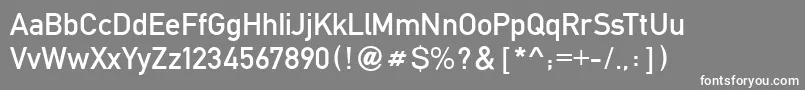 FetteMittelschriftRegular Font – White Fonts on Gray Background