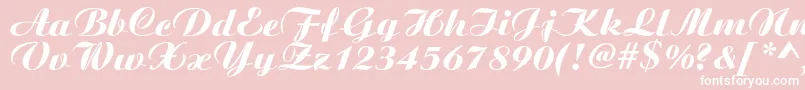 Boyarskyc Font – White Fonts on Pink Background