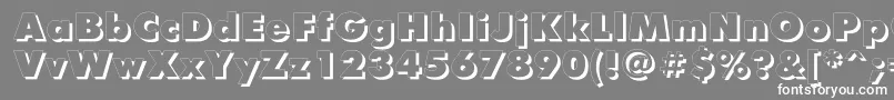 FuturisxshadowcttRegular Font – White Fonts on Gray Background