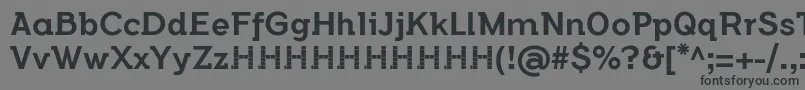 FlamanteSemislabMediumFfp2 Font – Black Fonts on Gray Background