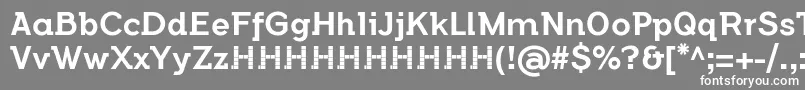 FlamanteSemislabMediumFfp2 Font – White Fonts on Gray Background