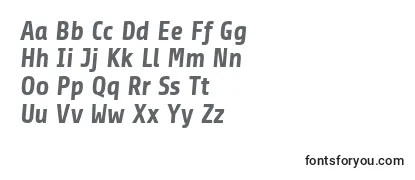Review of the ShareBolditalicosf Font