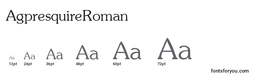 Размеры шрифта AgpresquireRoman