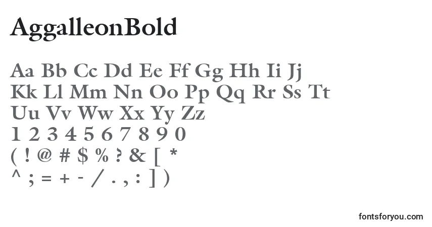 Шрифт AggalleonBold – алфавит, цифры, специальные символы