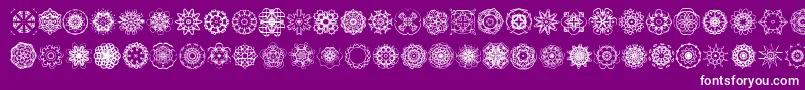 Extasy Font – White Fonts on Purple Background