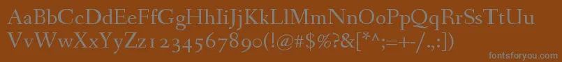 Police FanwoodTextWebfont – polices grises sur fond brun