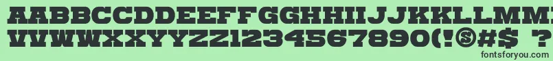 GomariceKatamariSerif Font – Black Fonts on Green Background