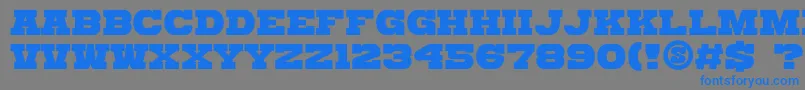 GomariceKatamariSerif Font – Blue Fonts on Gray Background