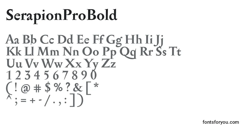 Czcionka SerapionProBold – alfabet, cyfry, specjalne znaki