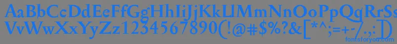 フォントSerapionProBold – 灰色の背景に青い文字