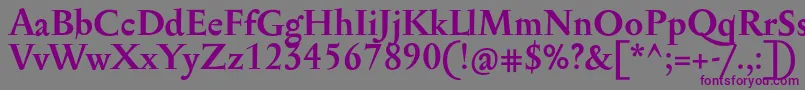 SerapionProBold Font – Purple Fonts on Gray Background