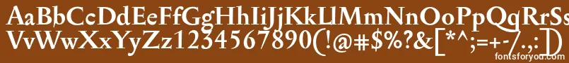 フォントSerapionProBold – 茶色の背景に白い文字