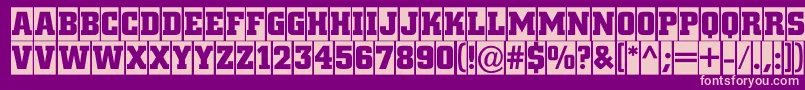 ACitynovatitulcmBold Font – Pink Fonts on Purple Background