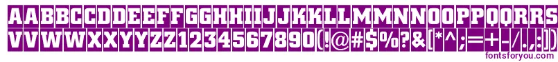 Шрифт ACitynovatitulcmBold – фиолетовые шрифты на белом фоне