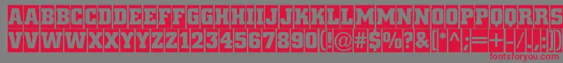 フォントACitynovatitulcmBold – 赤い文字の灰色の背景
