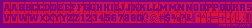ACitynovatitulcmBold Font – Red Fonts on Purple Background