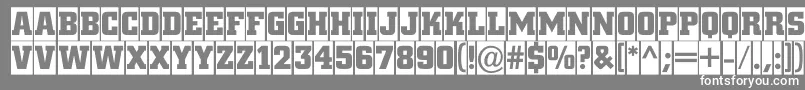 フォントACitynovatitulcmBold – 灰色の背景に白い文字