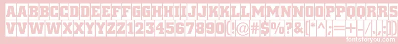 ACitynovatitulcmBold Font – White Fonts on Pink Background