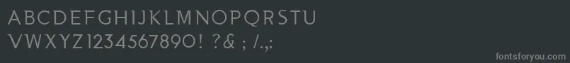 フォントNooaSemiserifRegular – 黒い背景に灰色の文字