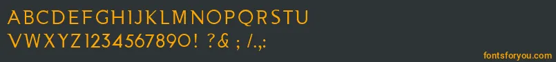 フォントNooaSemiserifRegular – 黒い背景にオレンジの文字