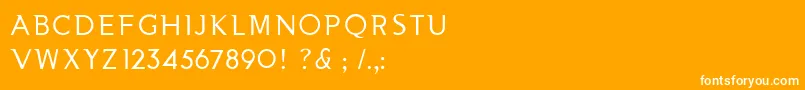 フォントNooaSemiserifRegular – オレンジの背景に白い文字