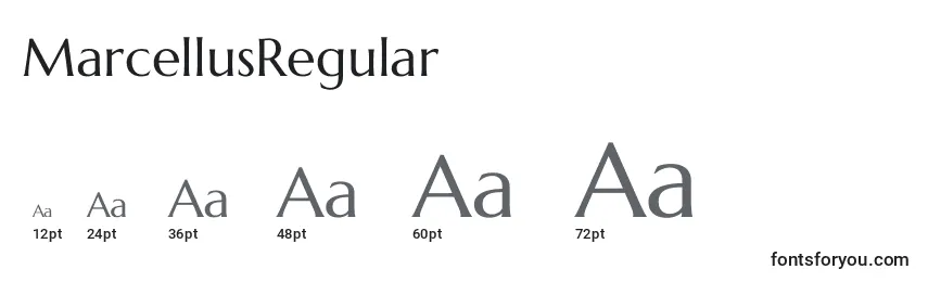 Размеры шрифта MarcellusRegular